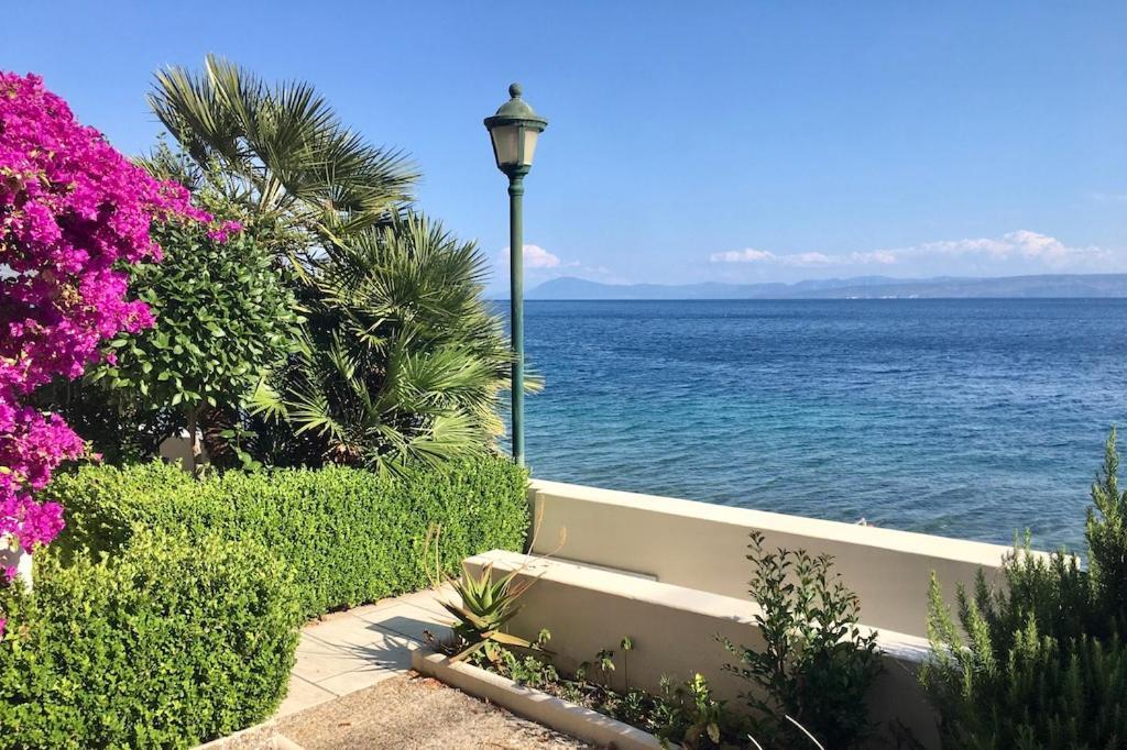 Eviaxl Studios Khrónia Dış mekan fotoğraf